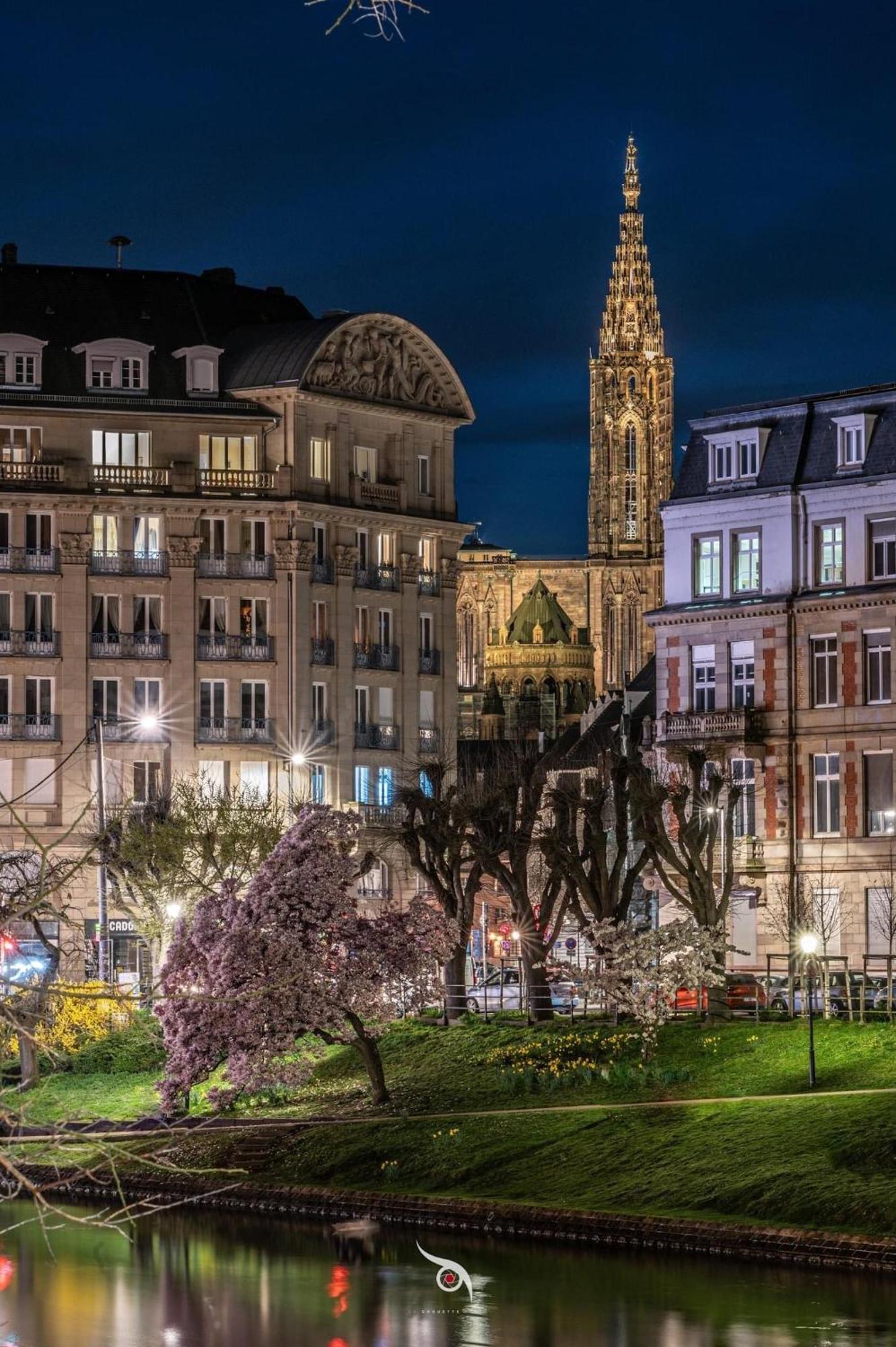 Appart & Studio Hyper Centre De Strasbourg - Proche Cathedrale & Petite France Экстерьер фото
