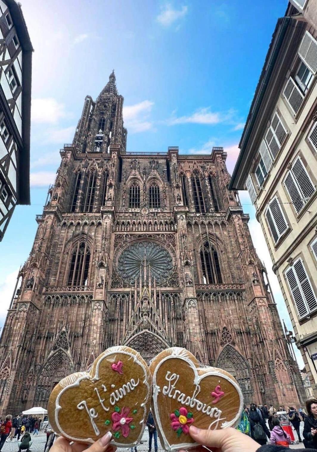 Appart & Studio Hyper Centre De Strasbourg - Proche Cathedrale & Petite France Экстерьер фото